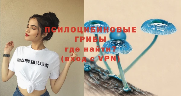 2c-b Заволжье