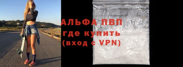 прущие грибы Зеленодольск