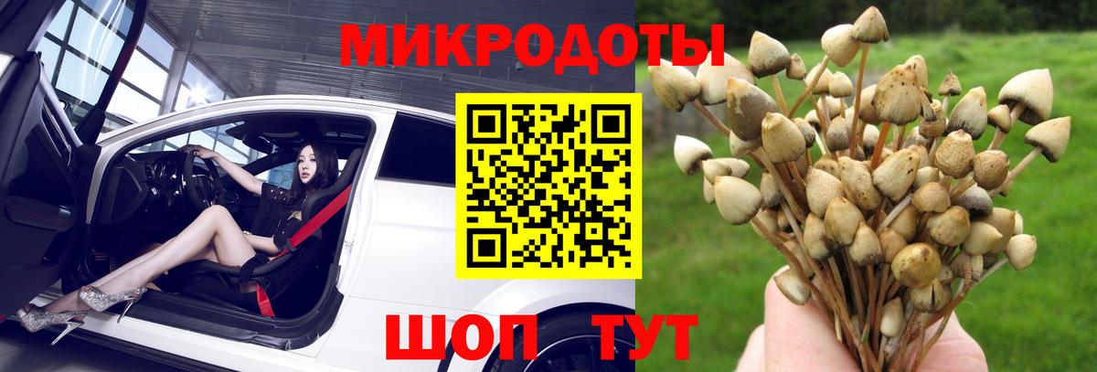 APVP Свободный